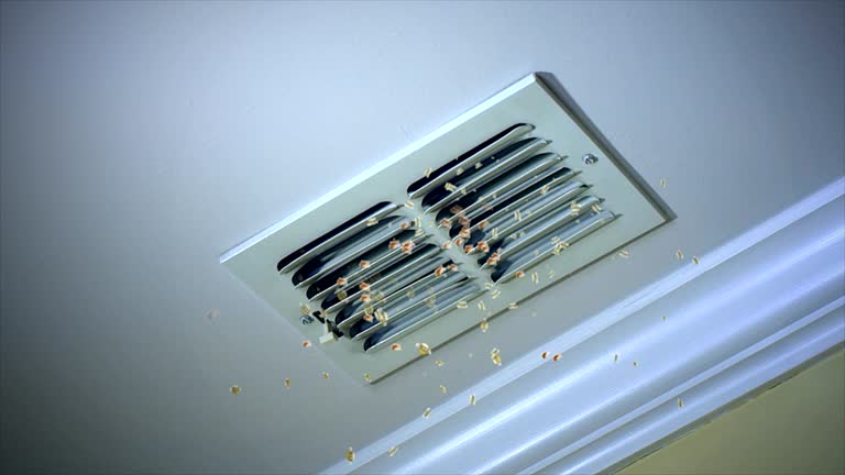 Best Duct Cleaning Specialists  in Desert Aire, WA